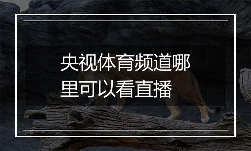 央视体育频道哪里可以看直播