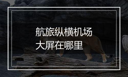 航旅纵横机场大屏在哪里