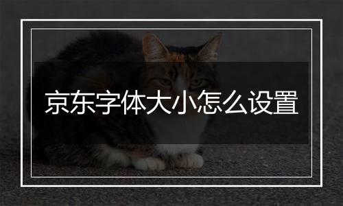 京东字体大小怎么设置