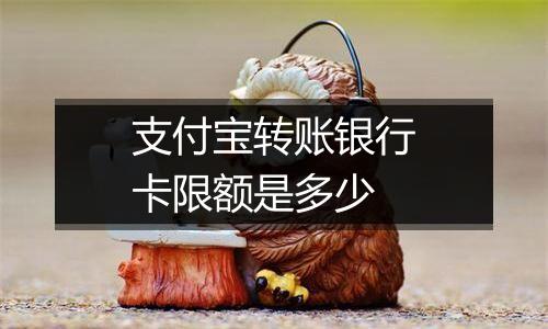 支付宝转账银行卡限额是多少