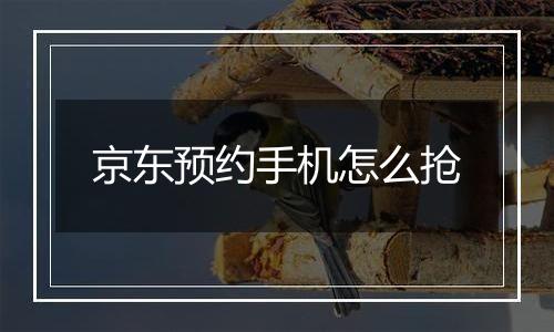 京东预约手机怎么抢