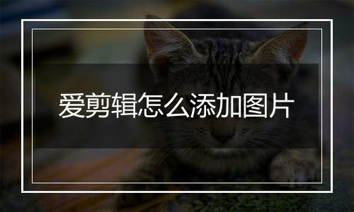 爱剪辑怎么添加图片