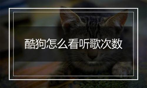 酷狗怎么看听歌次数