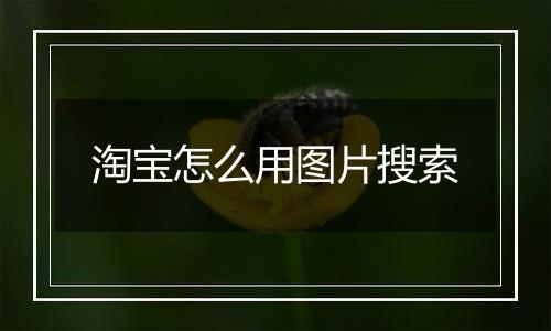 淘宝怎么用图片搜索