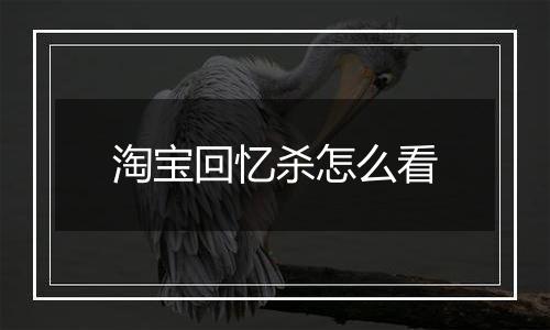淘宝回忆杀怎么看