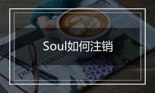 Soul如何注销