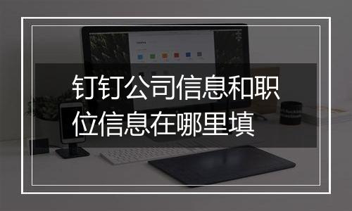 钉钉公司信息和职位信息在哪里填