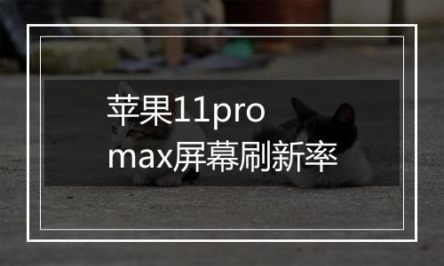 苹果11pro max屏幕刷新率