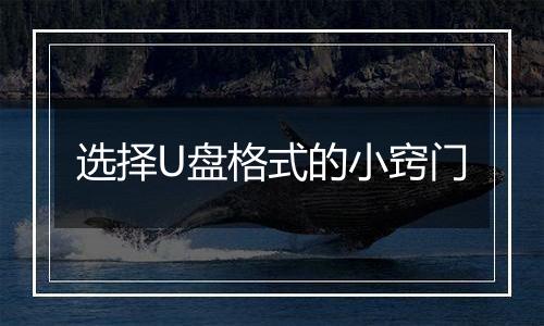 选择U盘格式的小窍门