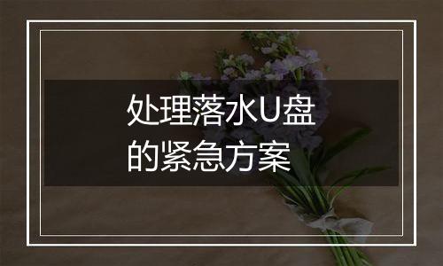 处理落水U盘的紧急方案