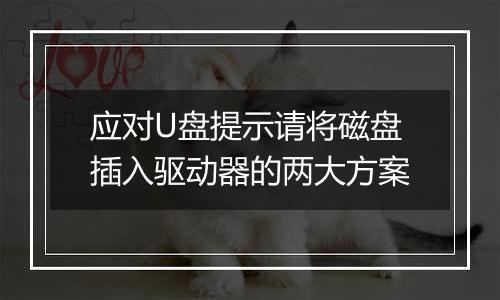 应对U盘提示请将磁盘插入驱动器的两大方案