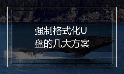 强制格式化U盘的几大方案