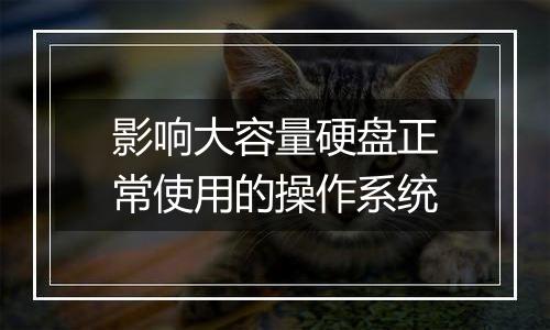 影响大容量硬盘正常使用的操作系统