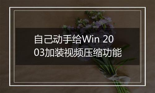 自己动手给Win 2003加装视频压缩功能