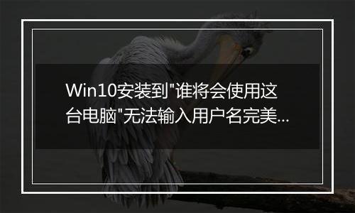 Win10安装到