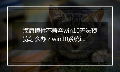 海康插件不兼容win10无法预览怎么办？win10系统ie加载海康插件的方法