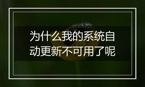 为什么我的系统自动更新不可用了呢