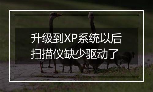 升级到XP系统以后扫描仪缺少驱动了