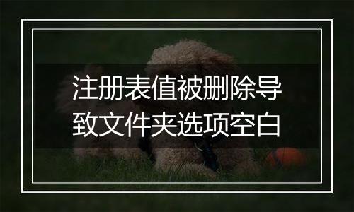 注册表值被删除导致文件夹选项空白