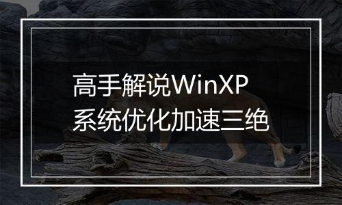 高手解说WinXP系统优化加速三绝