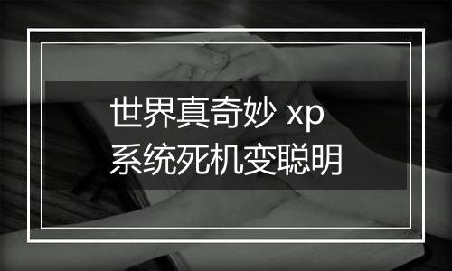 世界真奇妙 xp系统死机变聪明