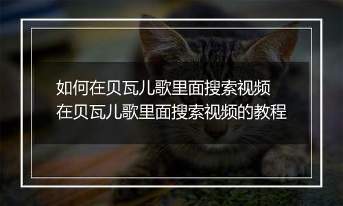 如何在贝瓦儿歌里面搜索视频 在贝瓦儿歌里面搜索视频的教程