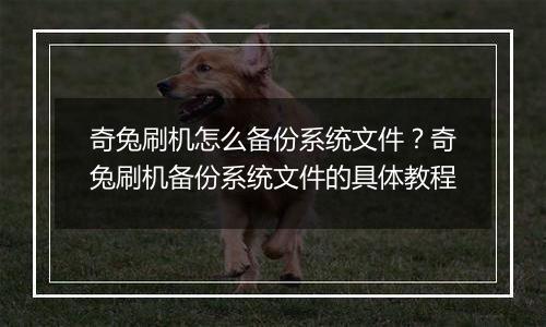 奇兔刷机怎么备份系统文件？奇兔刷机备份系统文件的具体教程