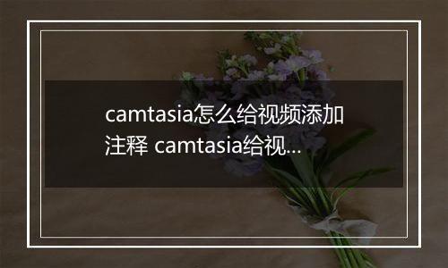 camtasia怎么给视频添加注释 camtasia给视频添加注释的教程